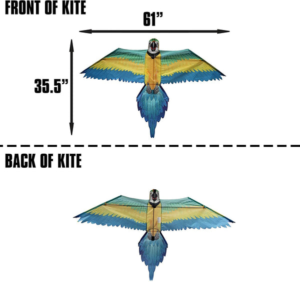 "RainForest Macaw" Kite with Line & Handle